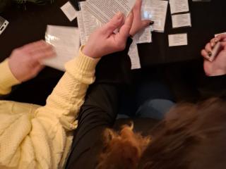 Kolejna grupa opiekunek przeszkolona ze standardów 16.12.2025